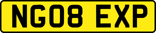 NG08EXP