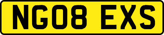 NG08EXS