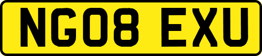 NG08EXU