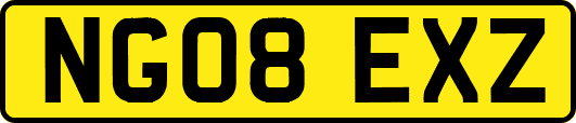 NG08EXZ