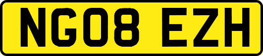 NG08EZH