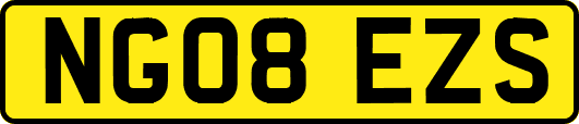 NG08EZS