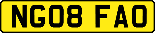 NG08FAO