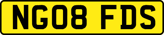 NG08FDS