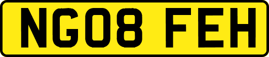 NG08FEH