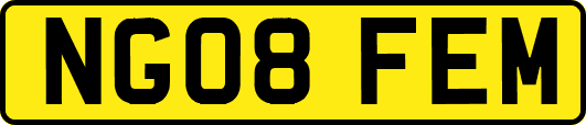 NG08FEM