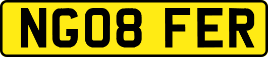 NG08FER