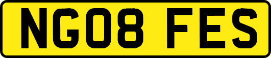 NG08FES