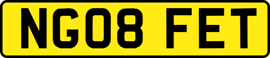 NG08FET