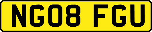 NG08FGU