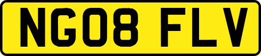 NG08FLV