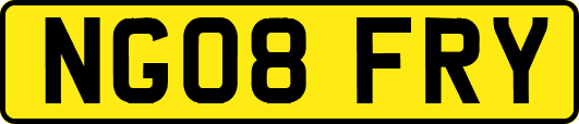 NG08FRY