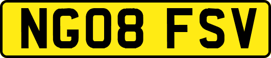NG08FSV