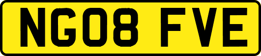 NG08FVE