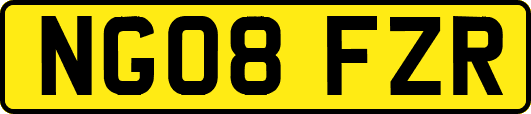 NG08FZR