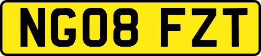 NG08FZT