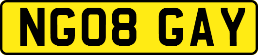 NG08GAY
