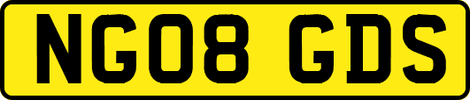 NG08GDS