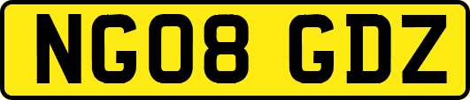 NG08GDZ