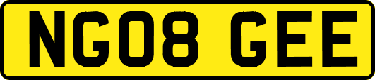NG08GEE