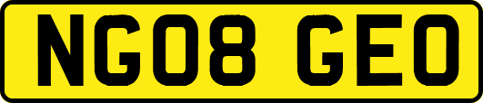 NG08GEO
