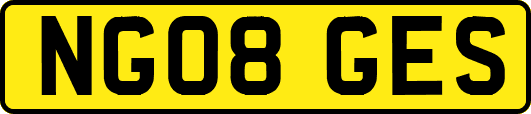NG08GES