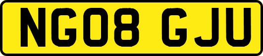 NG08GJU