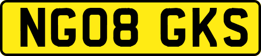 NG08GKS