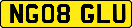NG08GLU