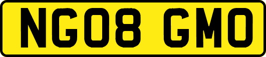 NG08GMO