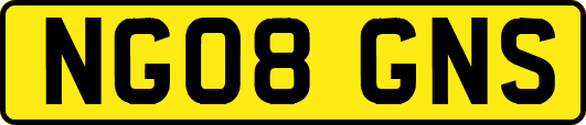 NG08GNS