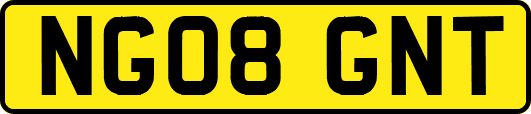 NG08GNT