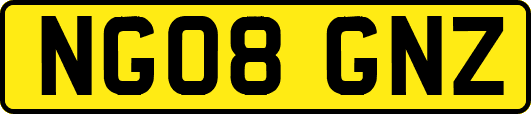 NG08GNZ
