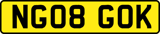 NG08GOK