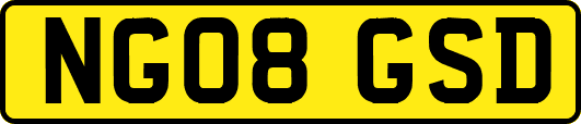 NG08GSD