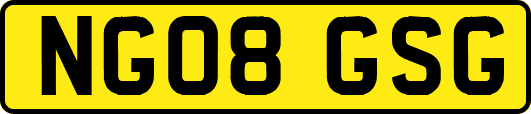 NG08GSG