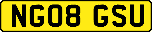 NG08GSU