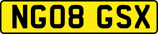 NG08GSX
