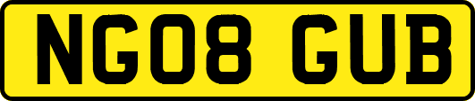 NG08GUB