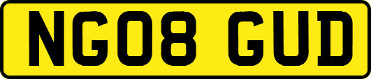 NG08GUD