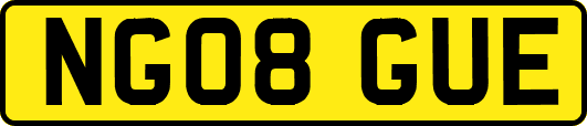 NG08GUE