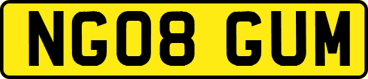 NG08GUM