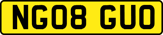 NG08GUO