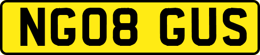 NG08GUS