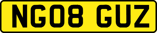 NG08GUZ