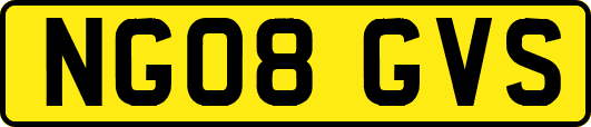 NG08GVS