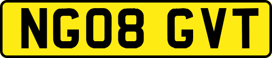 NG08GVT