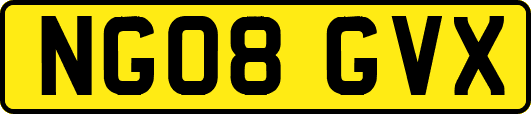 NG08GVX