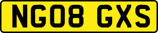 NG08GXS