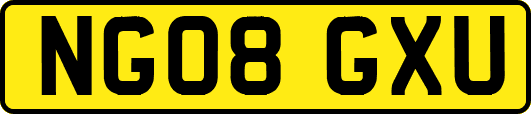 NG08GXU